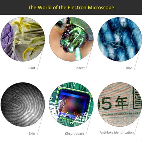 1000x Magnification USB Digital Microscope Built-in 8 LED Camera Magnifier with Base Stand Holder Support for Windows XP/Vista/Win 7 8 10/Android Phones NO5137