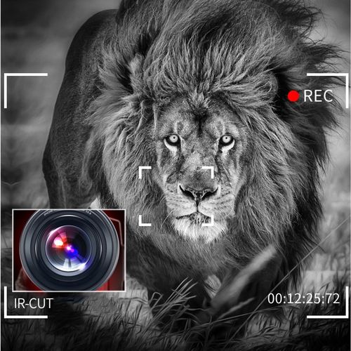 4K HD Night Vision 48MP Home WiFi Live  DV Digital Camera, Style:Hood +  Microphone
