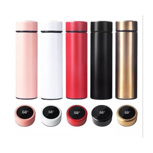 Insulated Water Bottle With Temperature Indicator - Black