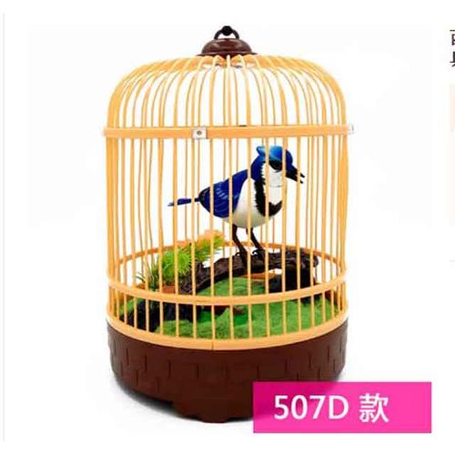 Family Pet Bird Toys Talking Birds Pet Birds Pet Bird Cage