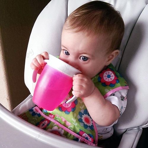 Baby Leak Proof 360° Cup/Baby Handle Training Cup/240ml Lid Training Cup