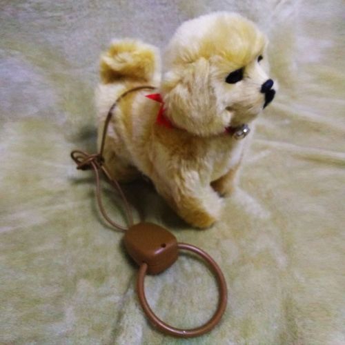 Electronic Plush Dog Toy Robot Cat Sing Song Puppy Leash