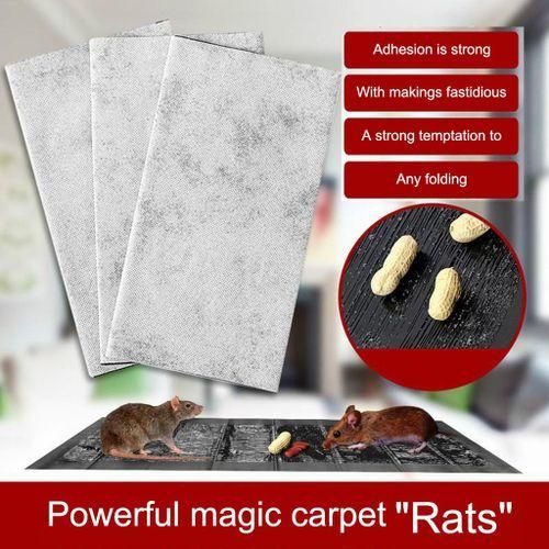 Rat Snare Mouse Glue Mice Rodent Sticky Boards Tool Clear