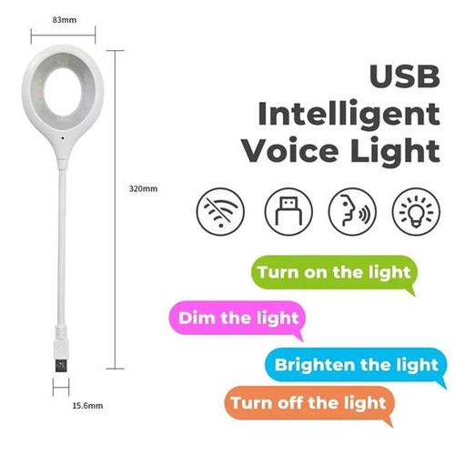 Intelligent Voice Control LED Light for Bedroom Living Room Dormitory Desk Night Light
