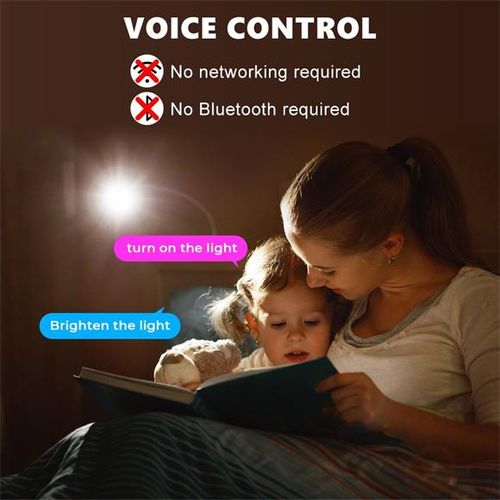 Intelligent Voice Control LED Light for Bedroom Living Room Dormitory Desk Night Light