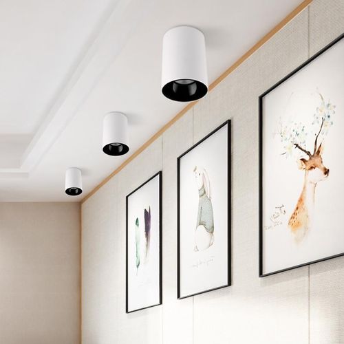 Surface Mounted Cylindrical Led Cob Downlight Gold Reflector 7w 10w 15w 18w Led Ceiling Bulbs Lamp Spot Led Downlight