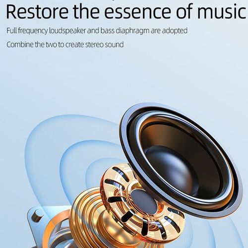 Portable Mini Bluetooth Speaker True Wireless Stereo Tws Enhance Bass Radiator Bluetooth 5.0 A3 Metal Covering Portable Speakers