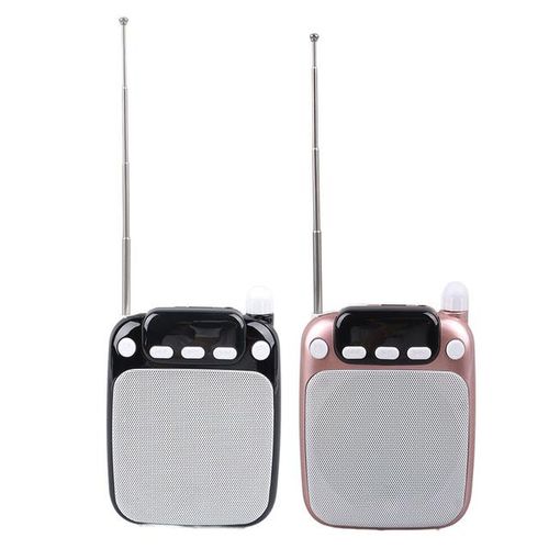 Mini Voice Amplifier Function Portable Voice Amplifier Fm Radio Rechargeable With Wired Microphone Headset For Guide