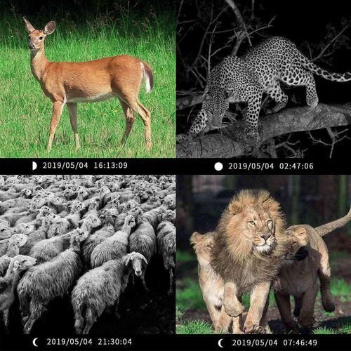 12MP HD 1080P Outdoor Hunting Camera Trail IR Night Vision Hunting Wildlife