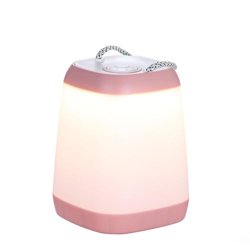 Portable Night Light Bedside Lamp with Easy Carry Strap 30/ 60/ 100 Adjustable Brightness Battery Operated Nursery Lamp for Bedroom Living Room NO5111