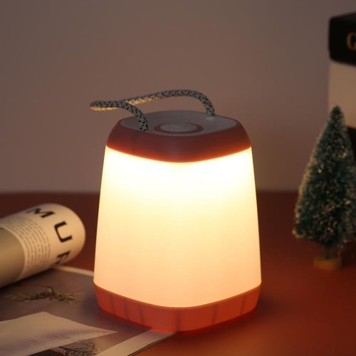 Portable Night Light Bedside Lamp with Easy Carry Strap 30/ 60/ 100 Adjustable Brightness Battery Operated Nursery Lamp for Bedroom Living Room NO5111