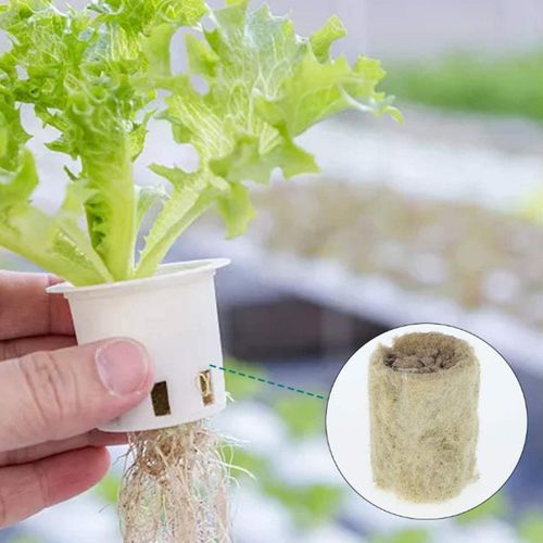 50 Pieces of Garden Starter Plugs-Multicolor