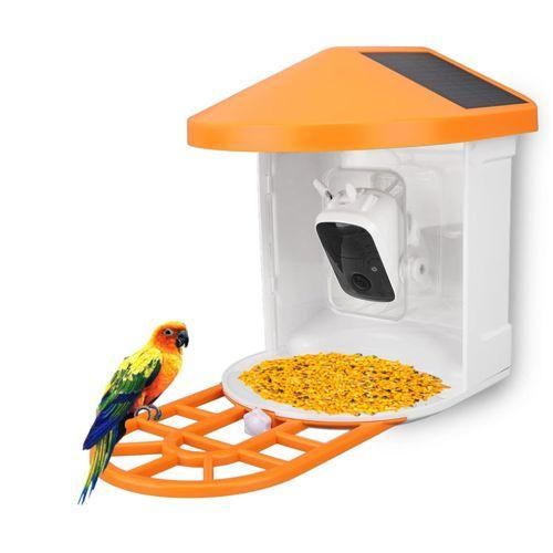 Bird Watching Camera Solar Powered Night Vision 1080P