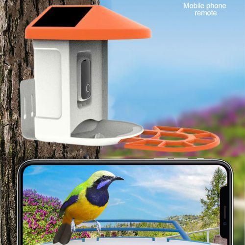 Bird Watching Camera Solar Powered Night Vision 1080P