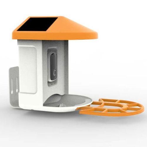 Bird Watching Camera Solar Powered Night Vision 1080P