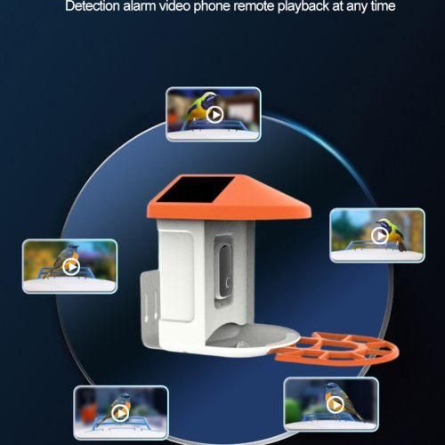 Bird Watching Camera Solar Powered Night Vision 1080P