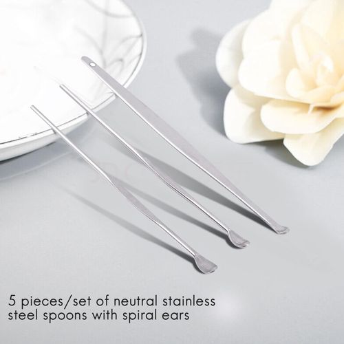 5 Pcs/Set Unisex Stainless Steel goodral Ear Pick Spoon Clean