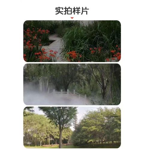48 me ga pixel digital cam corder Home travel 4K video re corder DV with WiFi Tiktok live camera