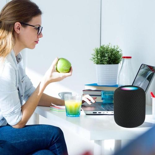 Anti-Scratch Horizontal Dustproof Sleeve For Homepods 2 Shockproof Audio Box Carrying Case Wireless Speaker Bag With Pads