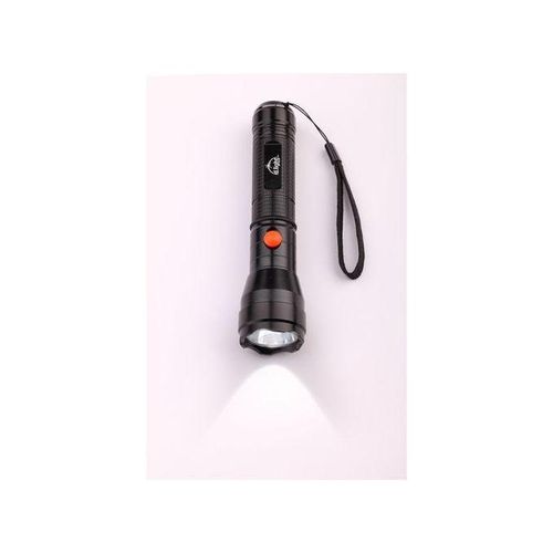 d.light Solar X2000 lighting (4 bulbs, 1 tube light) system with solar panel, radio, torchlight, Charges phone