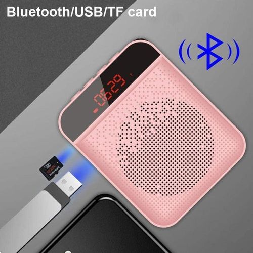 Portable Wireless Voice Amplifier Bluetooth Loudspeaker Megaphone Speaker With Microphone Mp3 Fm For Teachers Tourist Guide