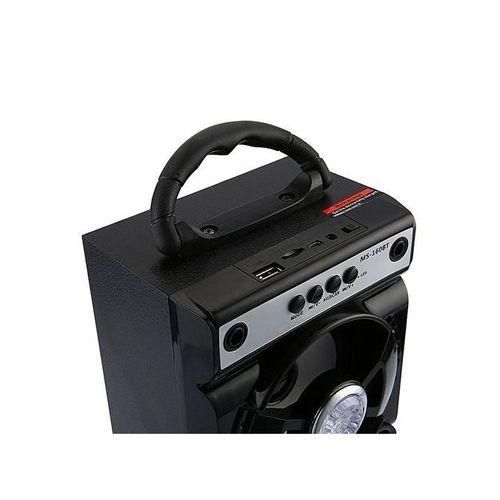 MS160BT Portable High Power Output Multimedia FM Radio Wireless Bluetooth Speaker HTS