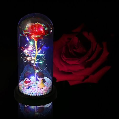 Rose Flower Gifts For Women Light Up Rose In Acrylic Dome