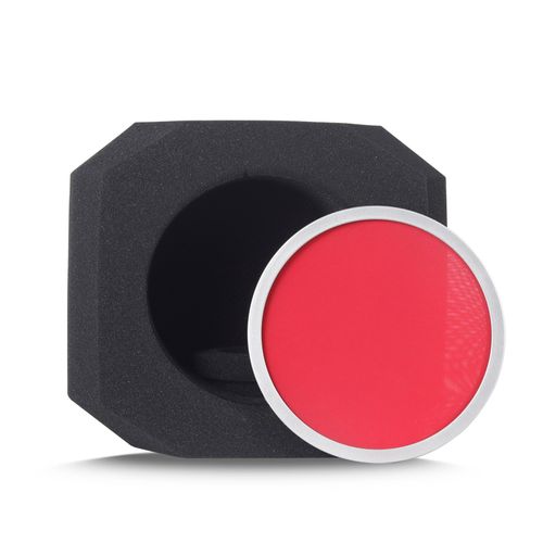 Professional Recording Equipment Microphone Sound