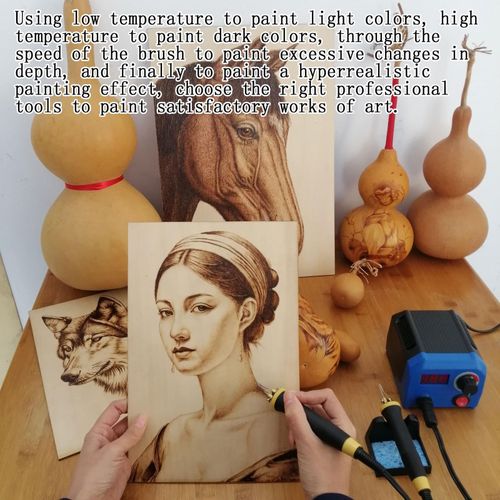 Professional Wood Burning Set With Adjustable  A