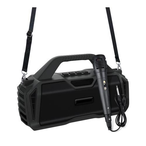 NR6011M Portable Outdoor Karaoke Wireless Bluetooth Speaker