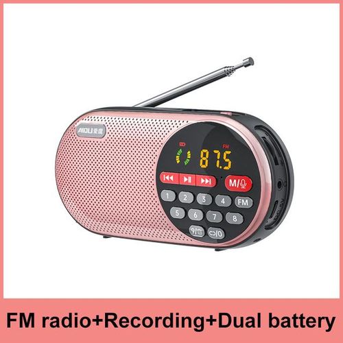 4000mah Rechargeable Fm Radio Portable Speaker Music