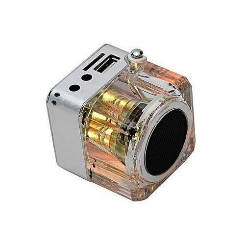 Mini Portable Speaker With FM Radio Micro SDTF Music MP3 Player USB Disk Silver HTS