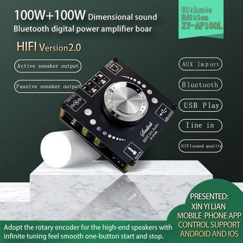 AP100L 100W100W Bluetooth 5.0 Stereo Amplifier Board AUX USB Sound Card Digital Power Amp Amplificador DC 12V 24V