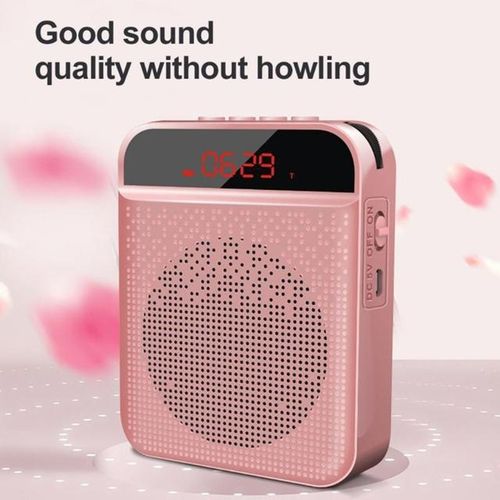 Mini Voice Amplifier Portable Rechargeable Bluetooth Speaker With Microphone 5w 3000mah Pa System For Teacher Tour Guide