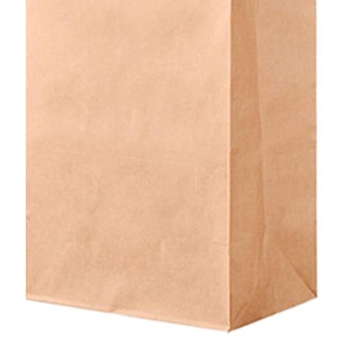 10Pcs Kraft Paper Bags Grocery Bags Brown For Crafts