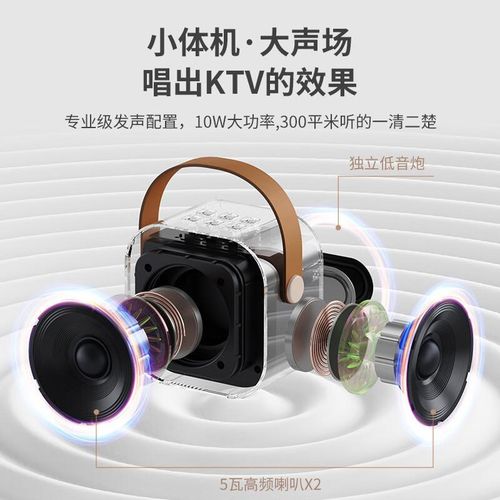 Bluetooth Audio 2 Microphone Sound Outdoor Speaker Singing Small Voice Party Party Singing Microphone