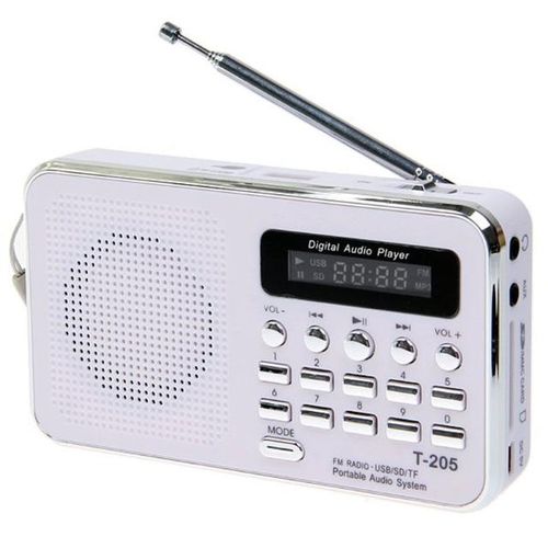 T-205 Fm Radio Receiver Portable Hifi Card Speaker Digital