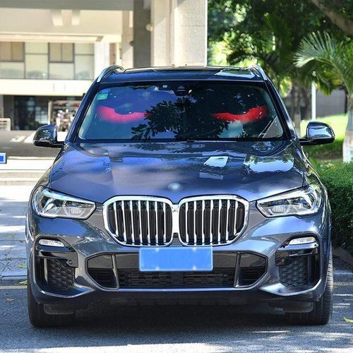 Dussdil Evil Eyes Car Sun Shade Windshield Red Eyes Sunshade Reflective Rays Protector Keep Cool Visor Cover Foldable Retract-06_Brown