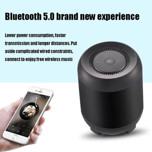 Q33 Intelligent AI Speaker