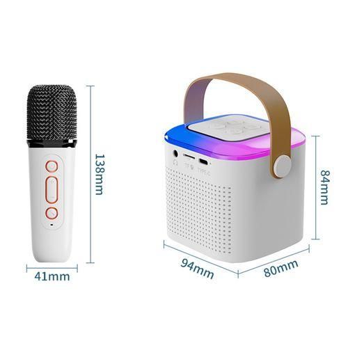 Karaoke Machine With Wireless Microphone Portable For