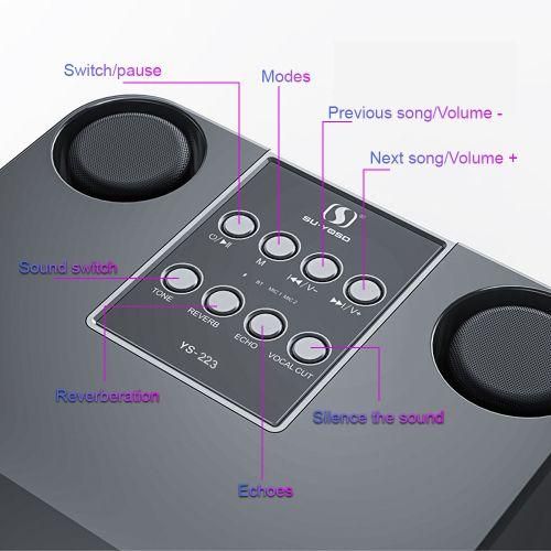 Karaoke Machine Handheld Wireless Speaker With 2 Microphone