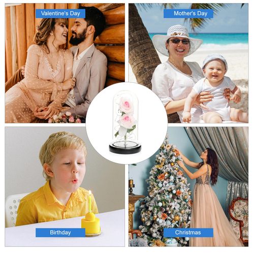 Artificial Rose in Glass Dome with Gift Box with LED Lights Forever Artificial Forever Rose Flower Gift Present for Women Mother's Day Valentine Romantic Wedding Home Party Festivals Anniversary NO5111