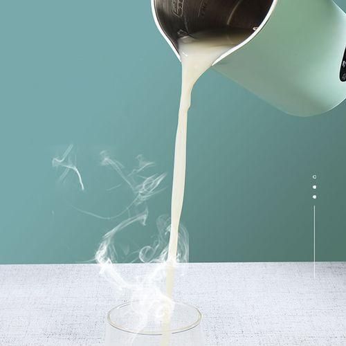 Multifunction Soymilk Maker 350mL Juicer Soy Milk Machine