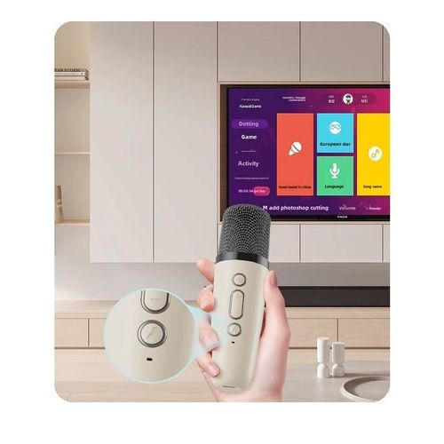 Bluetooth audio microphone microphone all-in-one audio outdoor speakers sing a song Bluetooth small audio Bluetooth speakers