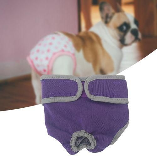 Puppy Physiological Pants Absorbent Leakproof Soft Violet
