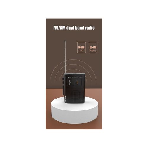 Panda 6501 Tape AM/FM Radio Retro Cassette Music Player Wal