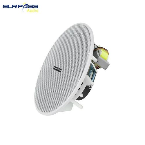 6.5 Inch 10W Full Range Speaker 70V/100V suitable for Audio PA System Amplifier Home Theater Publick Address Loudspeaker