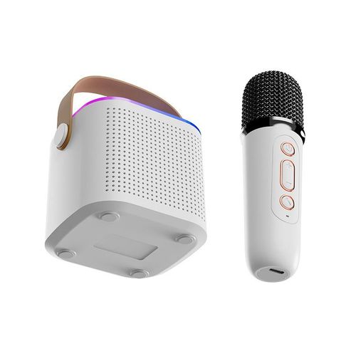 Outdoor Portable Bluetooth Speaker Wireless Microphone Sound Home Karaoke Bluetooth Audio Microphone One Microphone