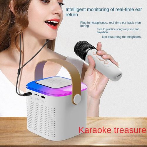 Outdoor Portable Bluetooth Speaker Wireless Microphone Sound Home Karaoke Bluetooth Audio Microphone One Microphone