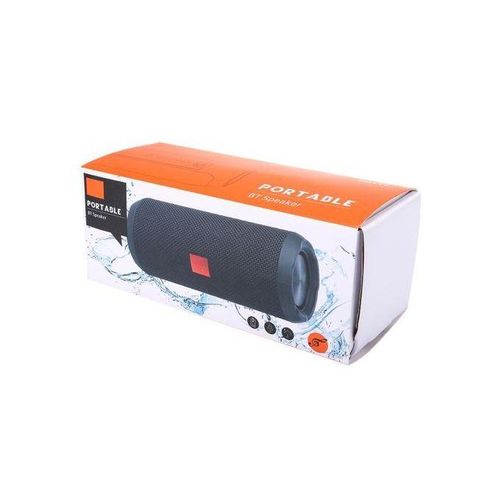 TG TG117 Portable Bluetooth Stereo Speaker, With Built-In MIC-Blue